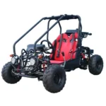 Taotao GK110 Kids Gas Go Kart Dune Buggys.