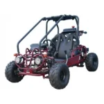 Taotao GK110 Kids Gas Go Kart Dune Buggys. - Image 2