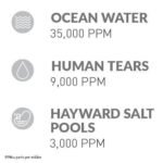 Hayward W3AQR15 AquaRite Salt Chlorination System for In-Ground Pools up to 40,000 Gallons - Image 2